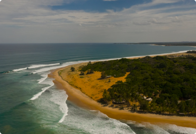 Photo by Lorenzo Herrera